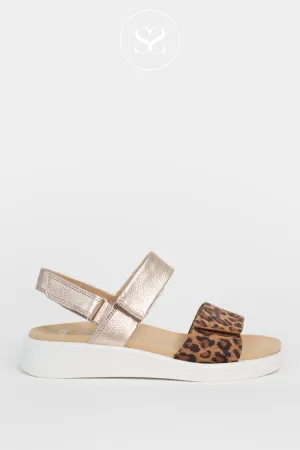 ARA 12-21401 LEOPARD/CREAM WEDGE SANDALS
